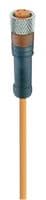 RKMV 4-07/2 M - LUMBERG AUTOMATION - RKMV 4-07/2 M - Sensor Cable, PVC, M8 Receptacle, Free End, 4 Positions, 2 m, 6.6 ft, RKMV Series