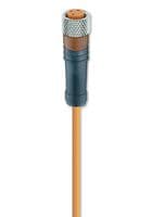 RKMV 3-224/5 M - LUMBERG AUTOMATION - RKMV 3-224/5 M - Sensor Cable, PUR, M8 Receptacle, Free End, 3 Positions, 5 m, 16.4 ft, RKMV Series