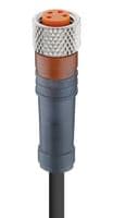 RKMV 4-96/2 M - LUMBERG AUTOMATION - RKMV 4-96/2 M - Sensor Cable, 4 Pos, M8 Receptacle, Free End, 4 Positions, 2 m, 6.6 ft, RKMV Series